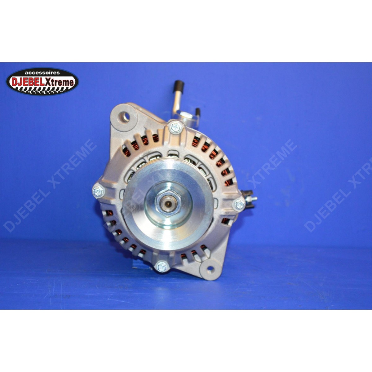 4 Palettes Carbone Pour Pompe à Vide SV1063B - Compatibles - Paquet Neuf