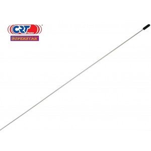 ANTENNE SEUL RML145 CRT