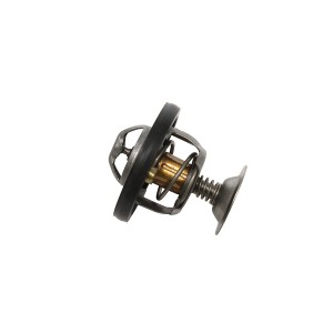 THERMOSTAT 300 TDI