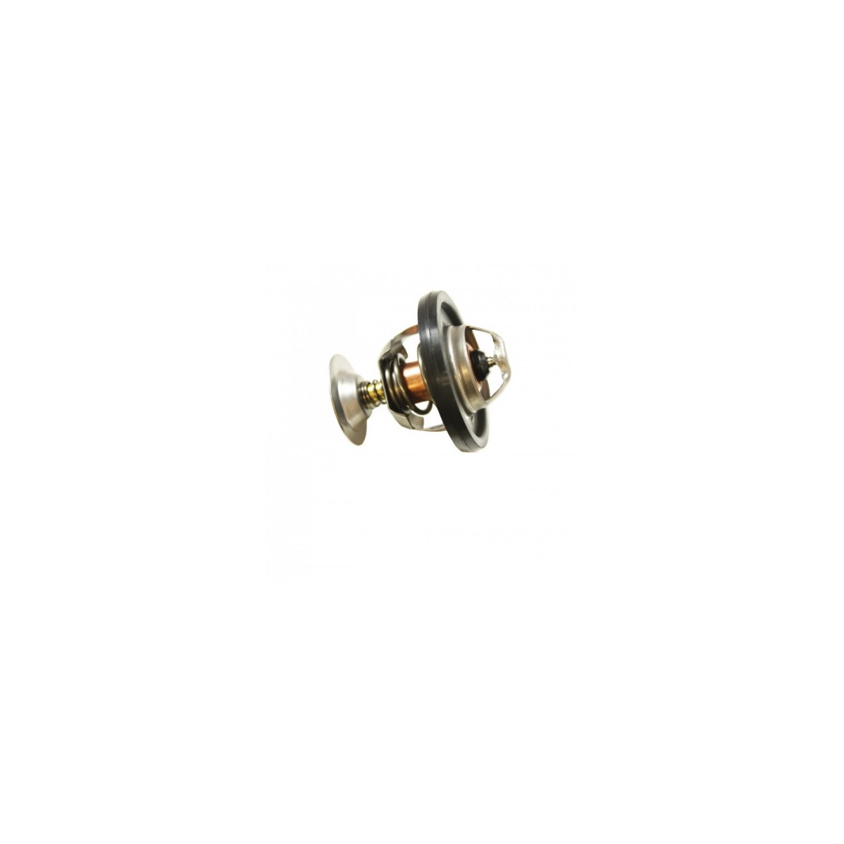 THERMOSTAT OEM