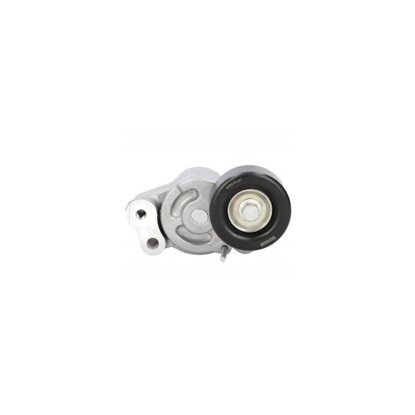 GALET TENDEUR de Courroie d'Accessoires L200
