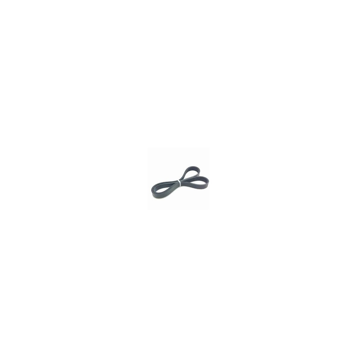 Courroie d'accessoires 5PK1425