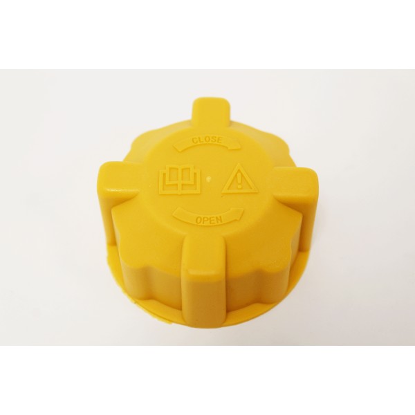 BOUCHON VASE EXPANSION TD5 / TD4