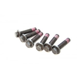VIS VOLANT MOTEUR TD5