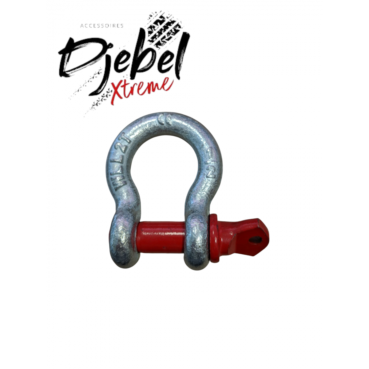 MANILLE LYRE 12T