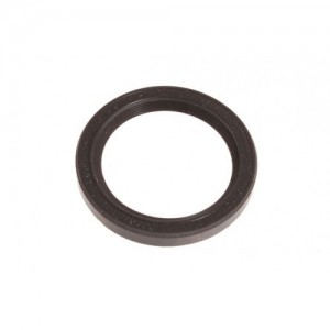 JOINT SPY D'ARBRE A CAMES...