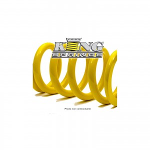 Ressort AR KING SPRINGS (u)...