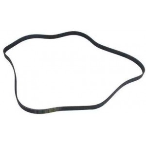 COURROIE POLY V ACCESSOIRES V8