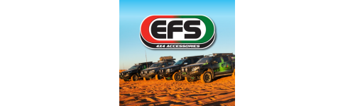 SUSPENSION EFS +40MM