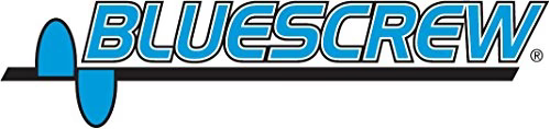 BlueScrew